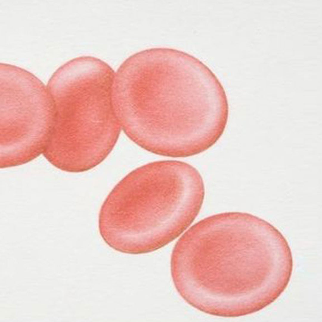 Low iron and periods - what you need to know.