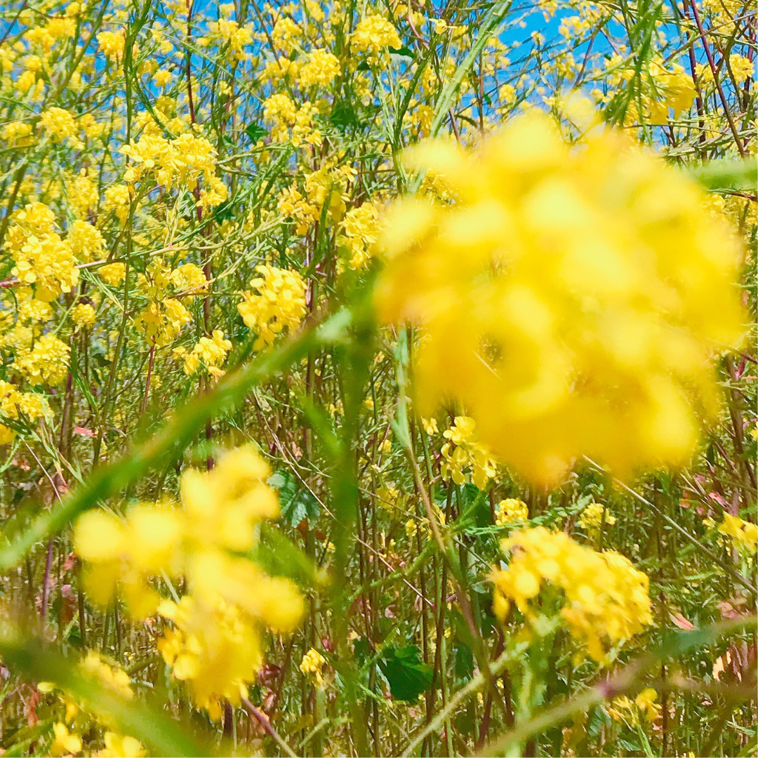 What do endometriosis periods actually feel like?