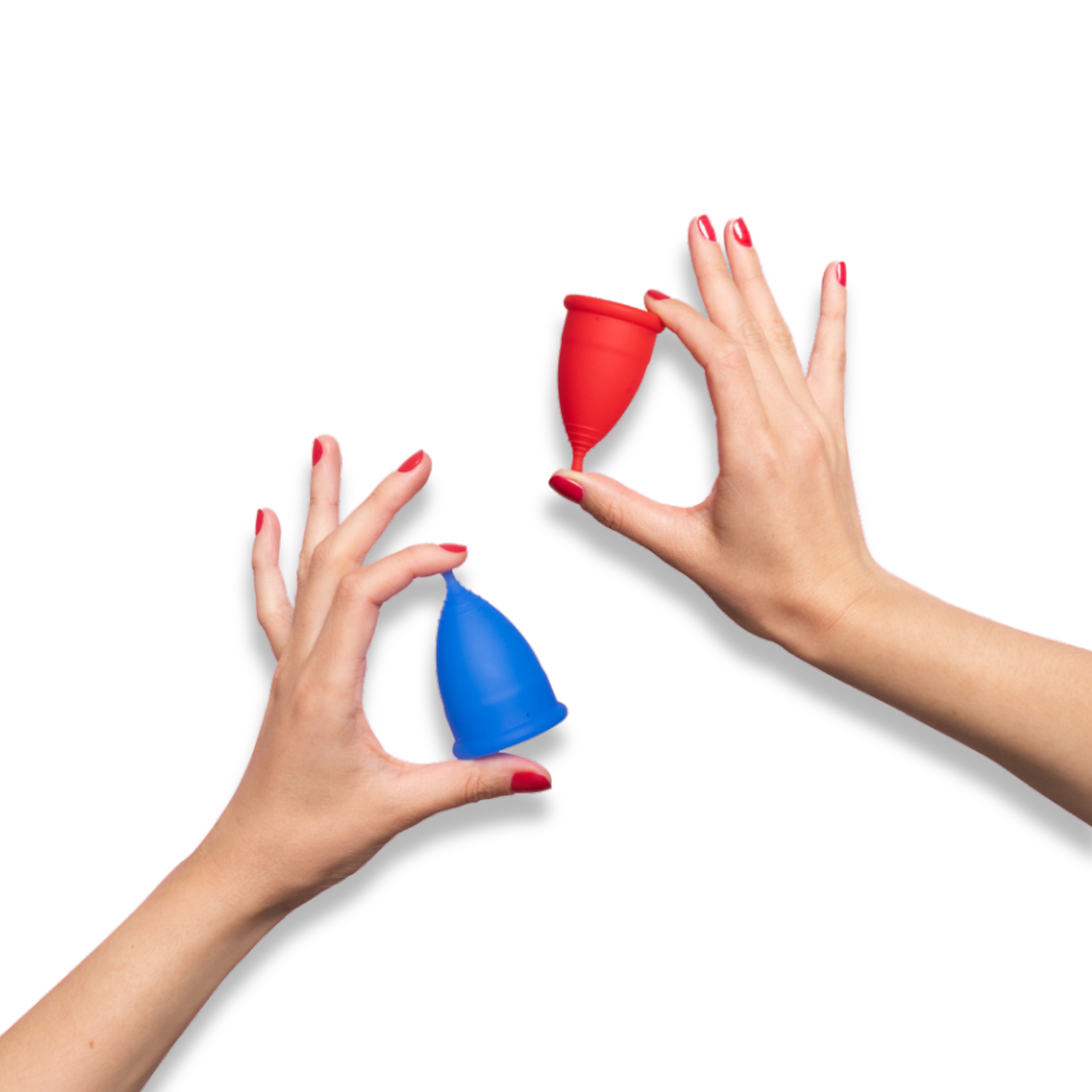 Moxie regular reusable menstrual cup